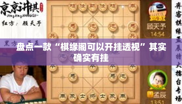 盘点一款“棋缘阁可以开挂透视”其实确实有挂