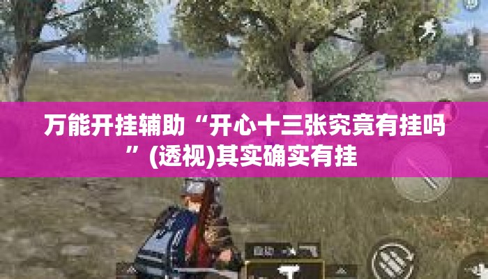 万能开挂辅助“开心十三张究竟有挂吗”(透视)其实确实有挂 
