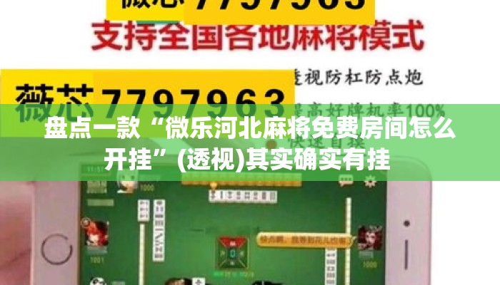 盘点一款“微乐河北麻将免费房间怎么开挂	”(透视)其实确实有挂 