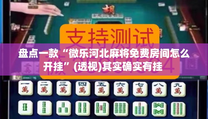 盘点一款“微乐河北麻将免费房间怎么开挂”(透视)其实确实有挂 