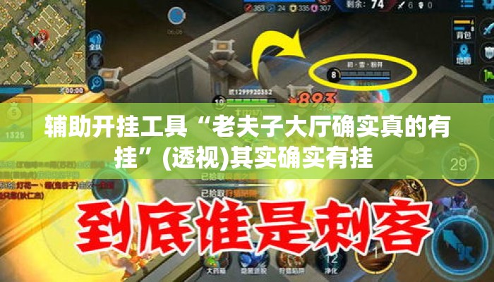 辅助开挂工具“老夫子大厅确实真的有挂	”(透视)其实确实有挂 