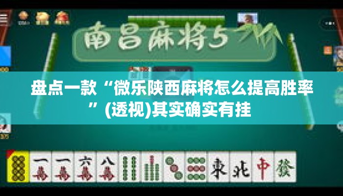 盘点一款“微乐陕西麻将怎么提高胜率”(透视)其实确实有挂 