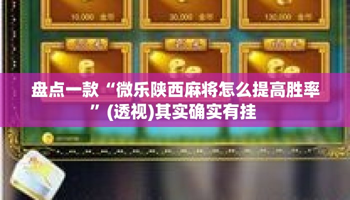 盘点一款“微乐陕西麻将怎么提高胜率”(透视)其实确实有挂 