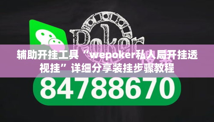 辅助开挂工具“wepoker私人局开挂透视挂”详细分享装挂步骤教程