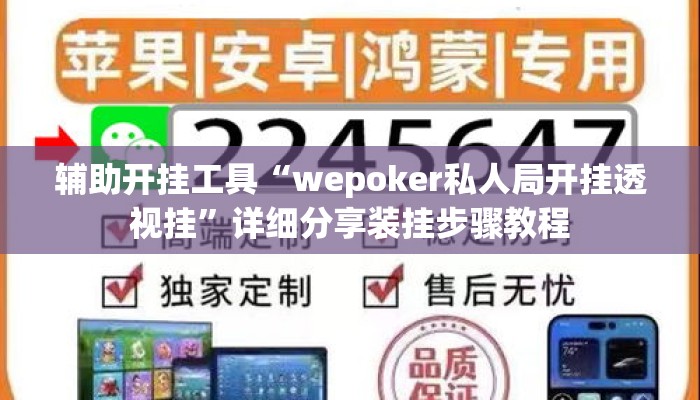 辅助开挂工具“wepoker私人局开挂透视挂	”详细分享装挂步骤教程