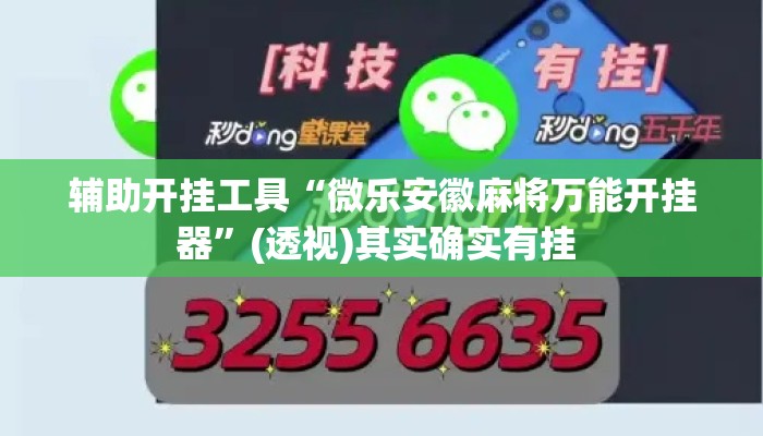 辅助开挂工具“微乐安徽麻将万能开挂器	”(透视)其实确实有挂 