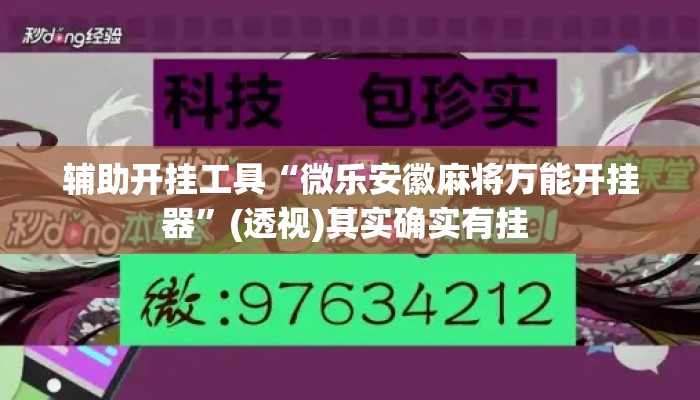 辅助开挂工具“微乐安徽麻将万能开挂器	”(透视)其实确实有挂 