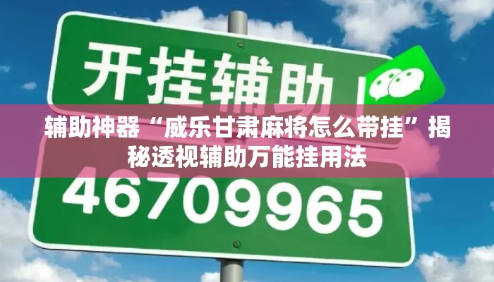辅助神器“威乐甘肃麻将怎么带挂”揭秘透视辅助万能挂用法