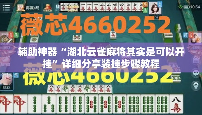 辅助神器“湖北云雀麻将其实是可以开挂”详细分享装挂步骤教程