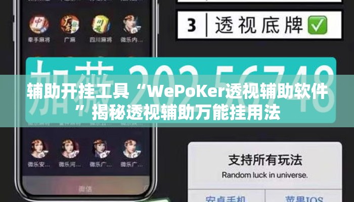 辅助开挂工具“WePoKer透视辅助软件”揭秘透视辅助万能挂用法