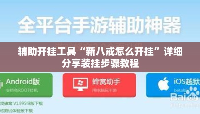辅助开挂工具“新八戒怎么开挂	”详细分享装挂步骤教程