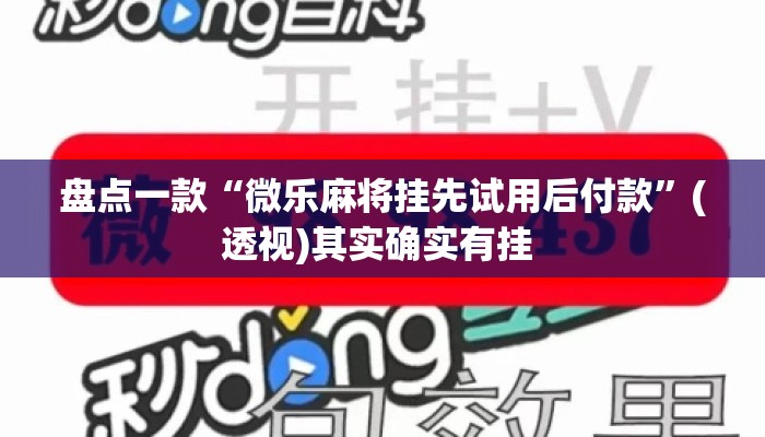 盘点一款“微乐麻将挂先试用后付款”(透视)其实确实有挂 