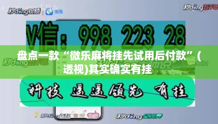 盘点一款“微乐麻将挂先试用后付款”(透视)其实确实有挂 