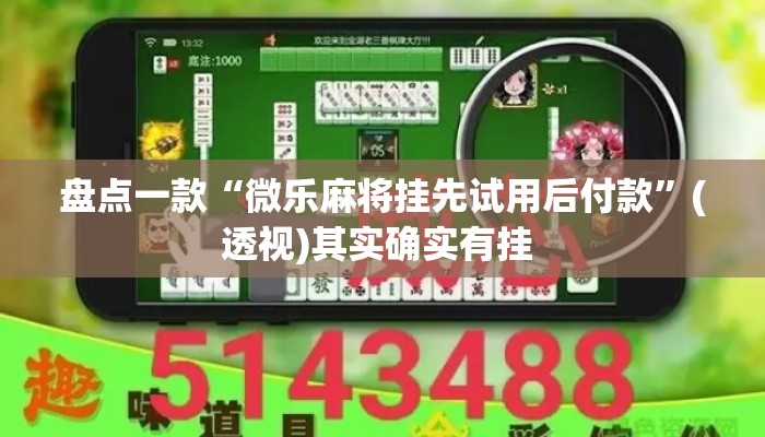 盘点一款“微乐麻将挂先试用后付款”(透视)其实确实有挂 