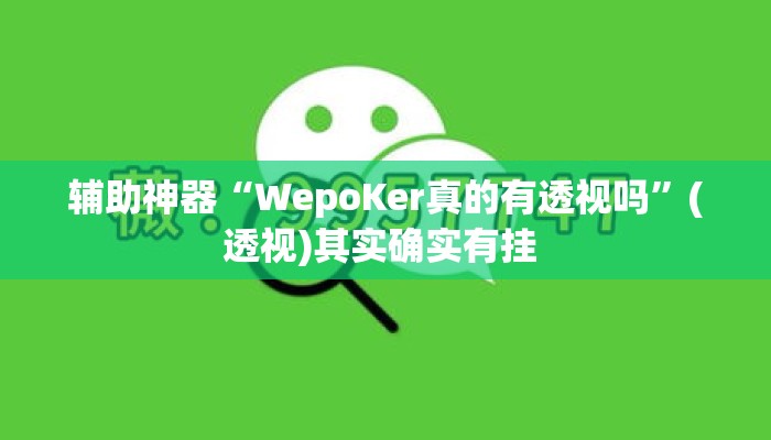 辅助神器“WepoKer真的有透视吗	”(透视)其实确实有挂 