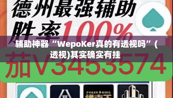辅助神器“WepoKer真的有透视吗”(透视)其实确实有挂 