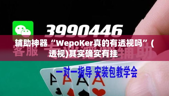 辅助神器“WepoKer真的有透视吗”(透视)其实确实有挂 