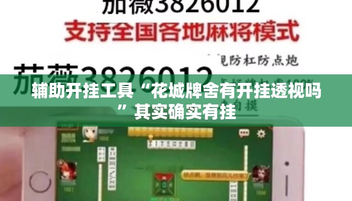 辅助开挂工具“花城牌舍有开挂透视吗”其实确实有挂