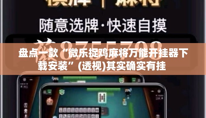 盘点一款“微乐捉鸡麻将万能开挂器下载安装”(透视)其实确实有挂 