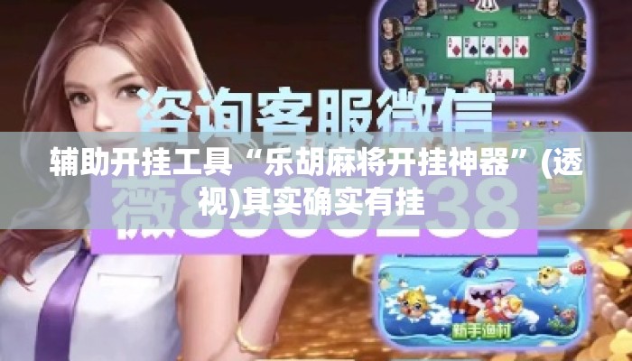 辅助开挂工具“乐胡麻将开挂神器	”(透视)其实确实有挂 