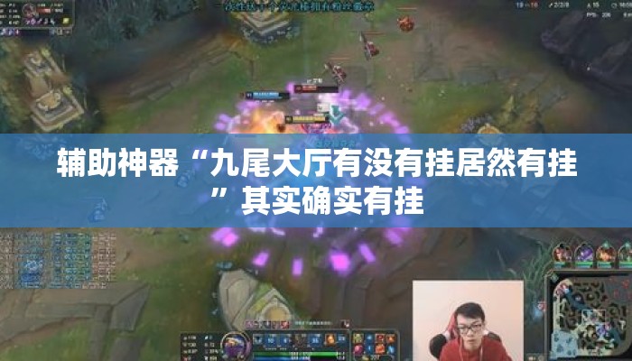 辅助神器“九尾大厅有没有挂居然有挂”其实确实有挂