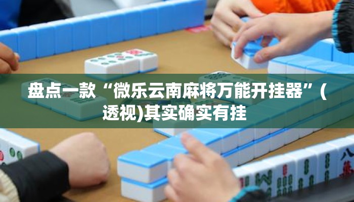 盘点一款“微乐云南麻将万能开挂器”(透视)其实确实有挂 