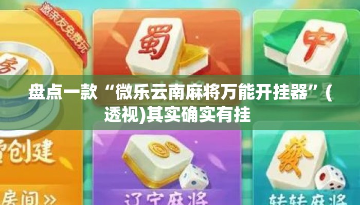 盘点一款“微乐云南麻将万能开挂器	”(透视)其实确实有挂 