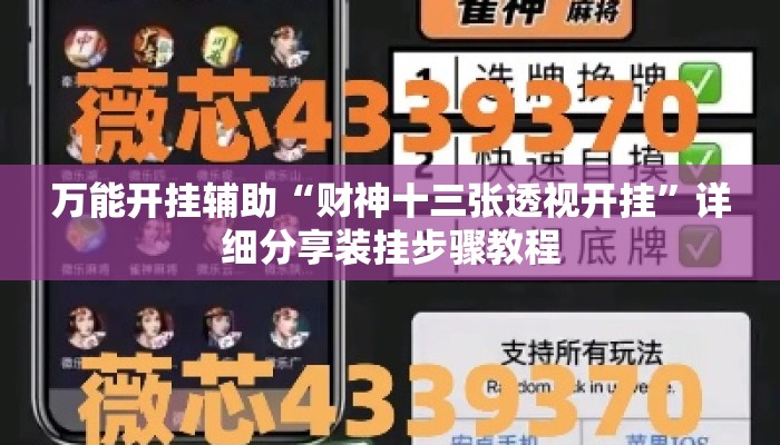 万能开挂辅助“财神十三张透视开挂	”详细分享装挂步骤教程