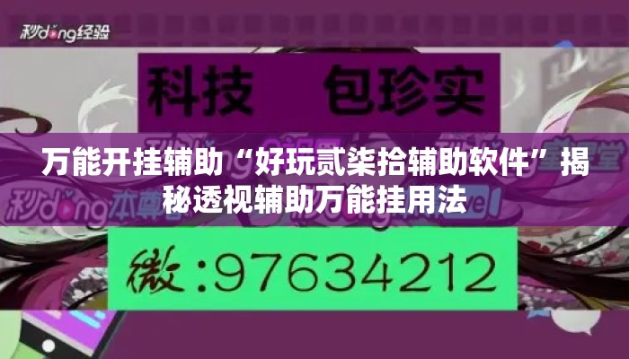 万能开挂辅助“好玩贰柒拾辅助软件”揭秘透视辅助万能挂用法