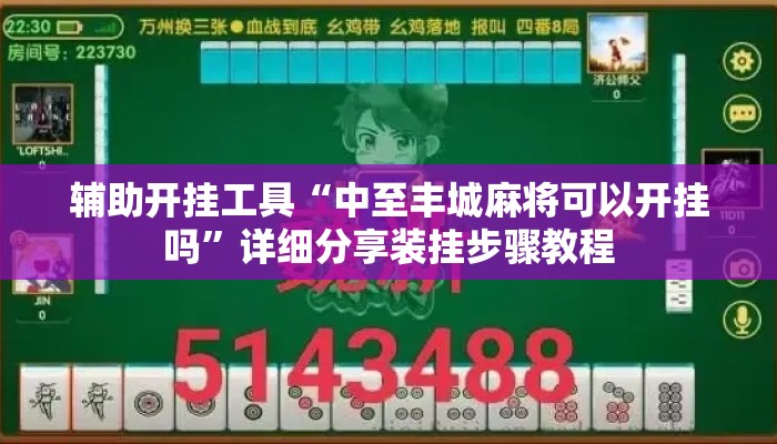 辅助开挂工具“中至丰城麻将可以开挂吗”详细分享装挂步骤教程