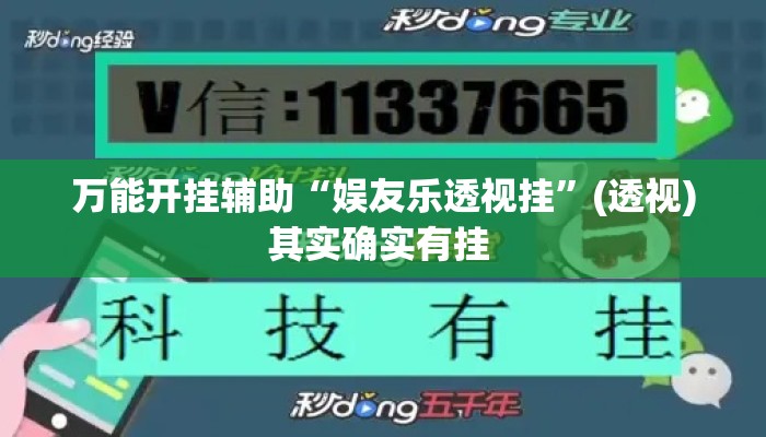 万能开挂辅助“娱友乐透视挂”(透视)其实确实有挂 