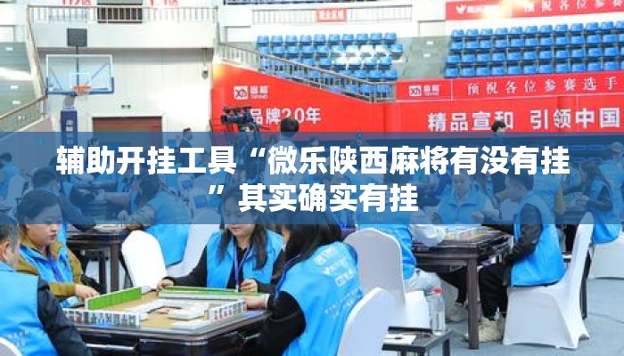 辅助开挂工具“微乐陕西麻将有没有挂	”其实确实有挂
