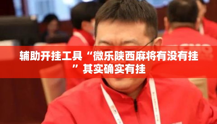 辅助开挂工具“微乐陕西麻将有没有挂	”其实确实有挂