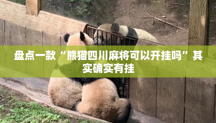 盘点一款“熊猫四川麻将可以开挂吗”其实确实有挂