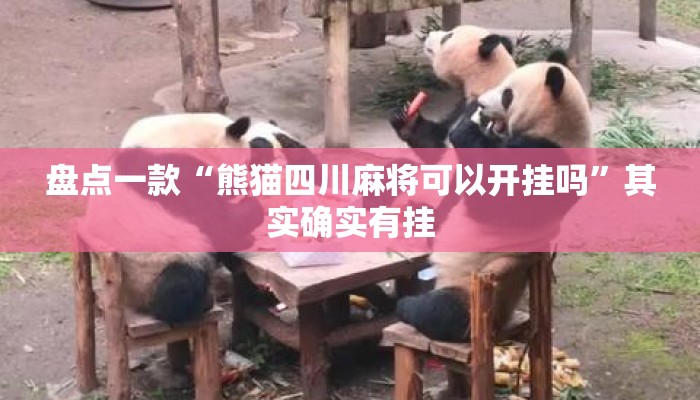 盘点一款“熊猫四川麻将可以开挂吗”其实确实有挂