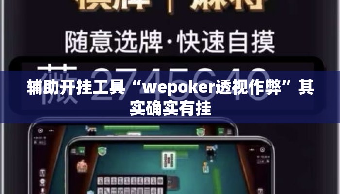 辅助开挂工具“wepoker透视作弊	”其实确实有挂