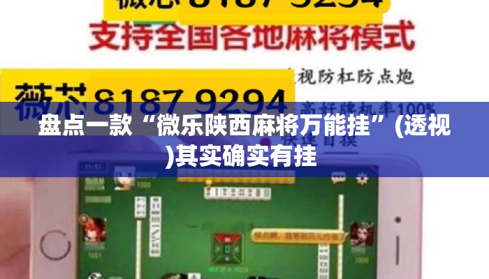 盘点一款“微乐陕西麻将万能挂”(透视)其实确实有挂 