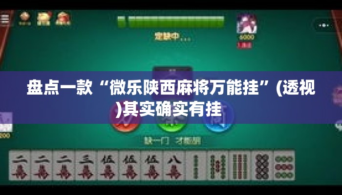 盘点一款“微乐陕西麻将万能挂”(透视)其实确实有挂 