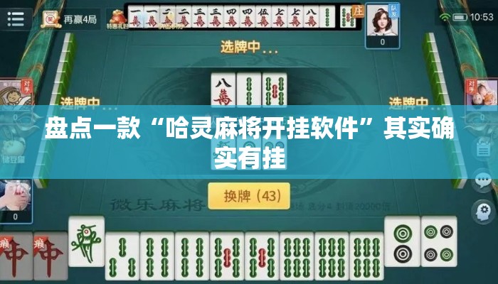 盘点一款“哈灵麻将开挂软件”其实确实有挂