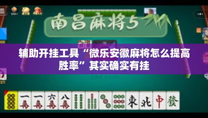 辅助开挂工具“微乐安徽麻将怎么提高胜率”其实确实有挂