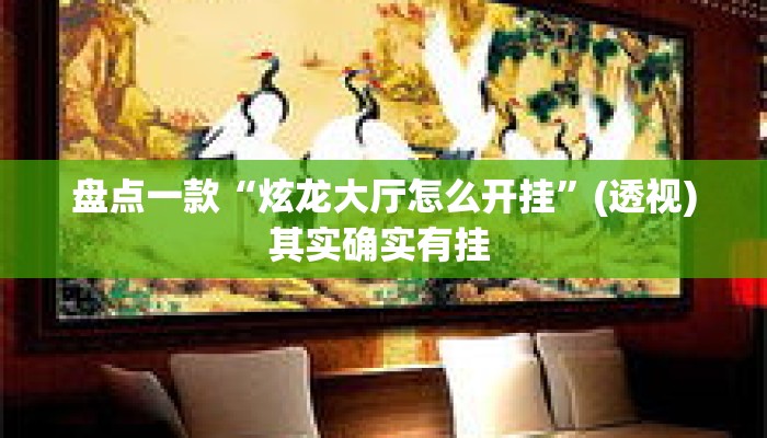 盘点一款“炫龙大厅怎么开挂”(透视)其实确实有挂 