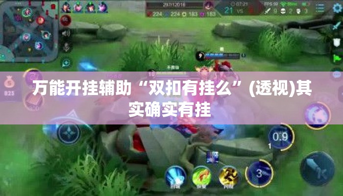 万能开挂辅助“双扣有挂么	”(透视)其实确实有挂 