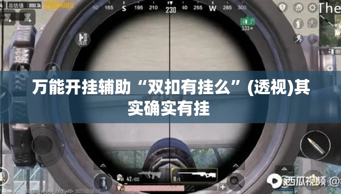 万能开挂辅助“双扣有挂么”(透视)其实确实有挂 