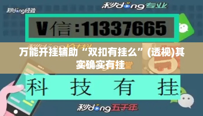 万能开挂辅助“双扣有挂么”(透视)其实确实有挂 