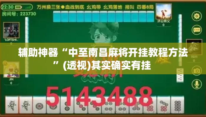 辅助神器“中至南昌麻将开挂教程方法”(透视)其实确实有挂 