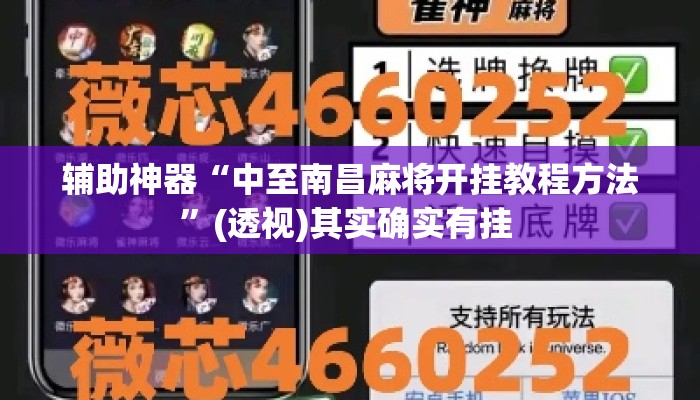 辅助神器“中至南昌麻将开挂教程方法”(透视)其实确实有挂 