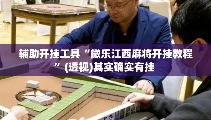 辅助开挂工具“微乐江西麻将开挂教程”(透视)其实确实有挂 