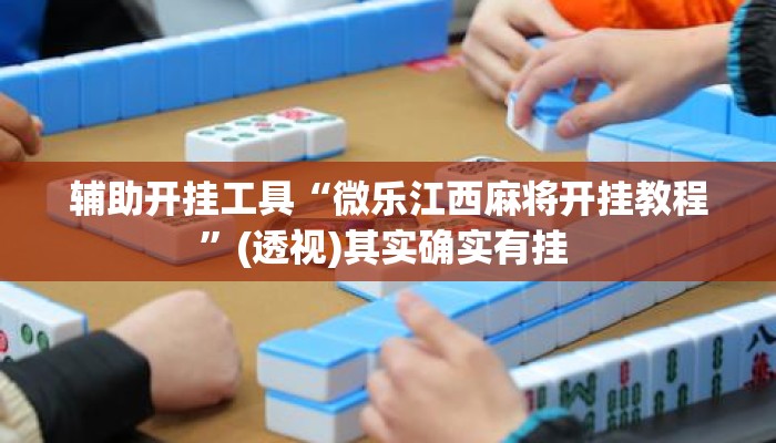 辅助开挂工具“微乐江西麻将开挂教程	”(透视)其实确实有挂 