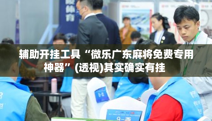 辅助开挂工具“微乐广东麻将免费专用神器	”(透视)其实确实有挂 