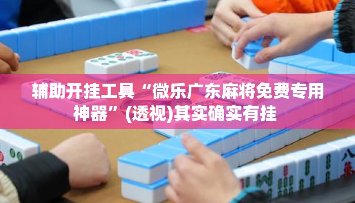 辅助开挂工具“微乐广东麻将免费专用神器”(透视)其实确实有挂 